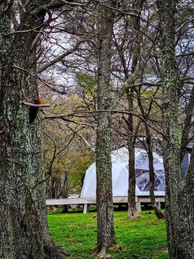 Glamping Patagonia Nativa Rural Hotel Coyhaique Bagian luar foto