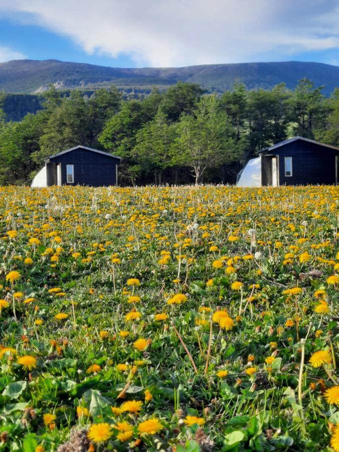 Glamping Patagonia Nativa Rural Hotel Coyhaique Bagian luar foto