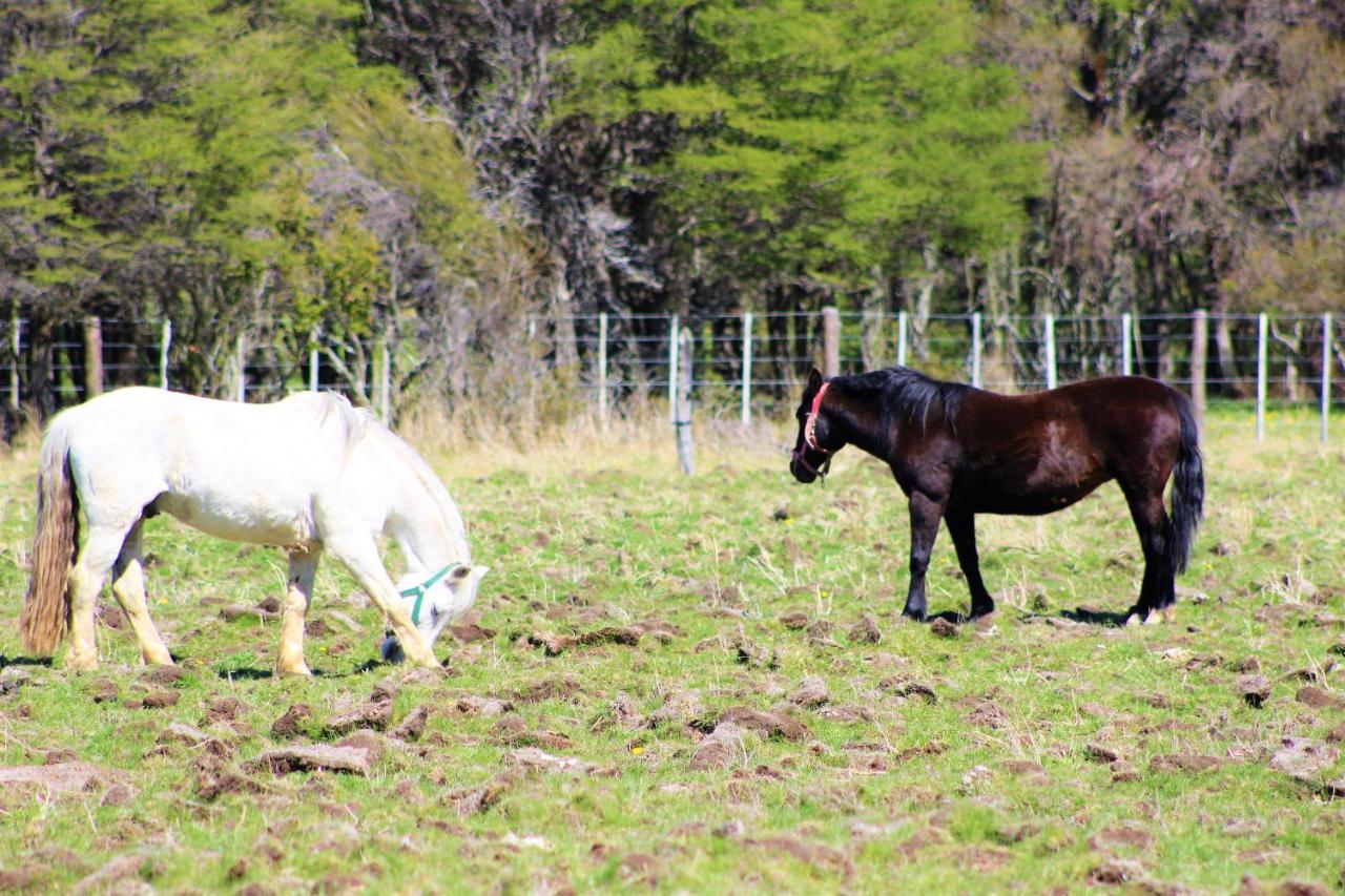Glamping Patagonia Nativa Rural Hotel Coyhaique Bagian luar foto