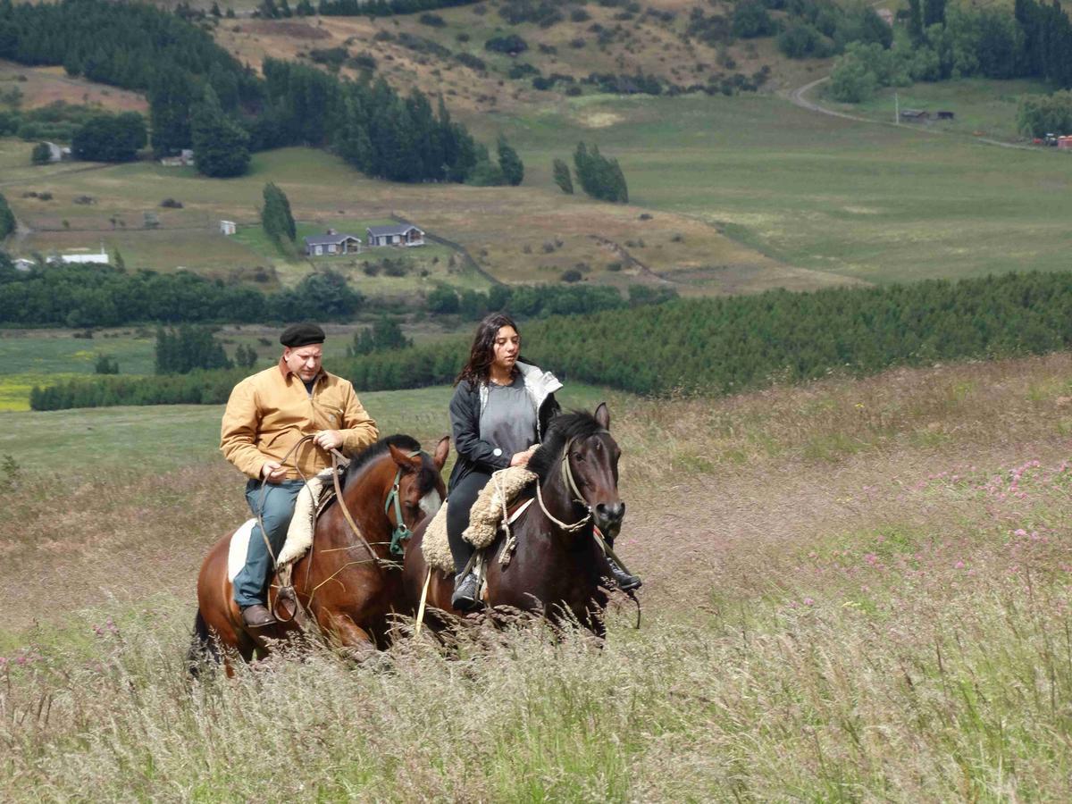 Glamping Patagonia Nativa Rural Hotel Coyhaique Bagian luar foto