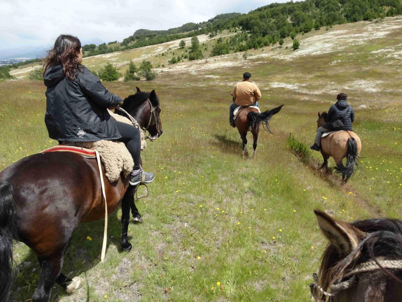 Glamping Patagonia Nativa Rural Hotel Coyhaique Bagian luar foto